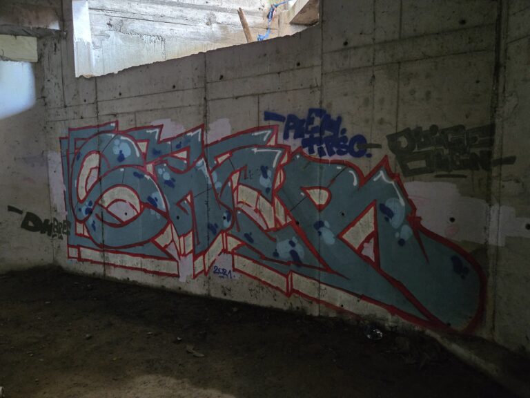 Sner quick graffiti