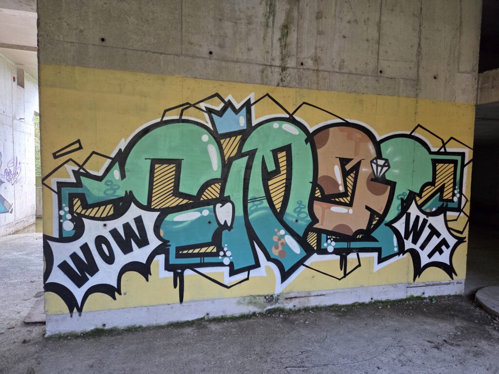 Wow wtf graffiti